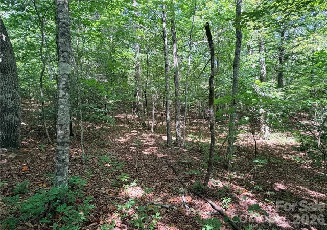 Photo 3 of Land for sale at 00 Grassy Knob Rd #5, Mill Spring, NC 28756 | MLS# 4395385 | Listing updated on 2026-06-19