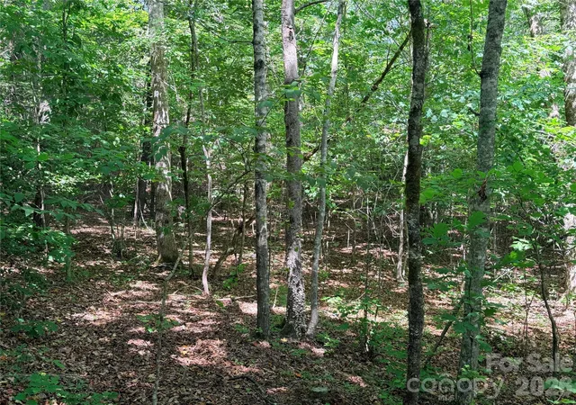 Photo 4 of Land for sale at 00 Grassy Knob Rd #5, Mill Spring, NC 28756 | MLS# 4395385 | Listing updated on 2026-06-19