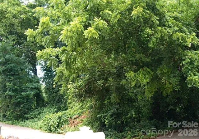 Photo 1 of Land for sale at 000 Ann Dr #170, Belmont, NC 28012 | MLS# 4395429 | Listing updated on 2026-07-11