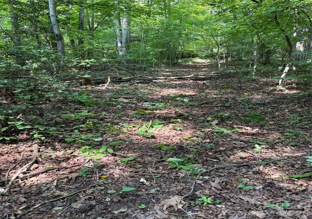 Photo 20 of Land for sale at 4415 Highway 221 N, Marion, NC 28752 | MLS# 4395433 | Listing updated on 2026-07-30