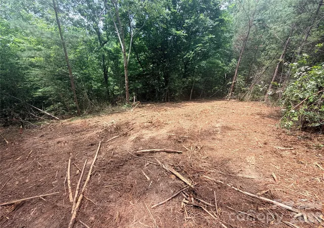 5th image of 0 Gold Creek Pt #4, Union Mills, NC 28167 | MLS# 4395470
