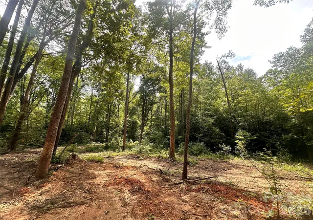 Photo 3 of Land for sale at 0004 Bolton Rd, Catawba, NC 28609 | MLS# 4395491 | Listing updated on 2026-08-01