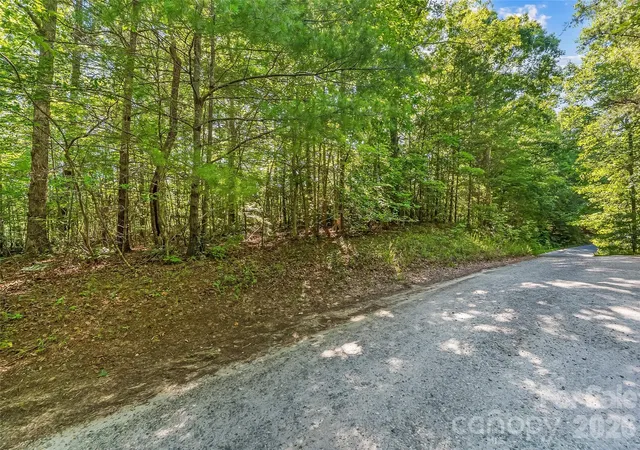 Homes for sale in Nebo, NC | 2229 Old Hwy 10 Hwy, Nebo, NC 28761 | MLS# 4395495