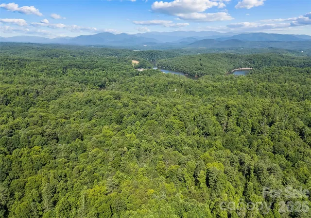 Homes for sale in Nebo, NC | 2229 Old Hwy 10 Hwy, Nebo, NC 28761 | MLS# 4395495
