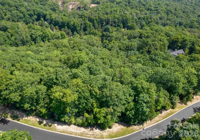 4th image of 99999 Shining Rock Path #69, Horse Shoe, NC 28742 | MLS# 4395525