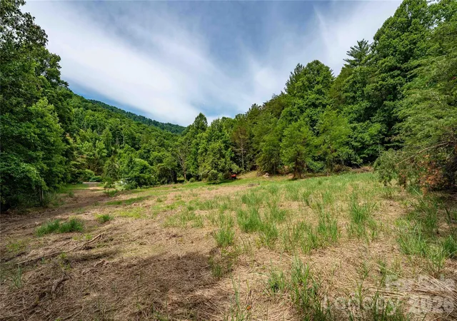 Photo 2 of Land for sale at 9999 Morgan Branch Rd, Weaverville, NC 28787 | MLS# 4395534 | Listing updated on 2026-08-26