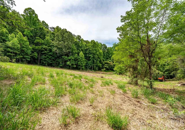 Photo 3 of Land for sale at 9999 Morgan Branch Rd, Weaverville, NC 28787 | MLS# 4395534 | Listing updated on 2026-08-26