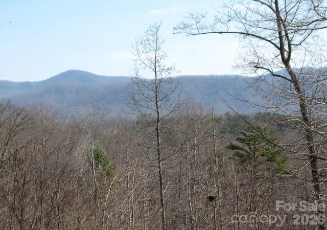 Homes for sale in Nebo, NC | 000 Meditation Ridge Ridge #21,22, Nebo, NC 28761 | MLS# 4395542