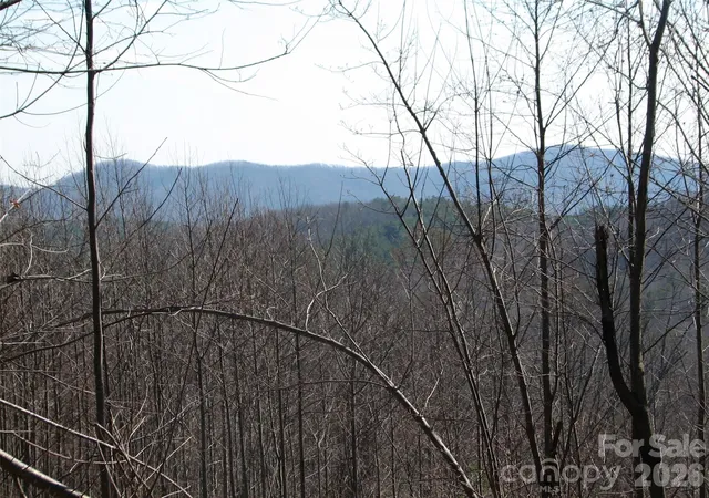 Homes for sale in Nebo, NC | 000 Meditation Ridge Ridge #21,22, Nebo, NC 28761 | MLS# 4395542
