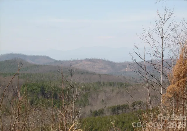 Homes for sale in Nebo, NC | 000 Meditation Ridge Ridge #21,22, Nebo, NC 28761 | MLS# 4395542