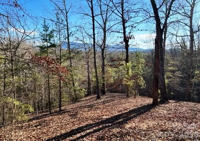 1st image of Lot N 17 4 Coast Dr, Mill Spring, NC 28756 | MLS# 4395722
