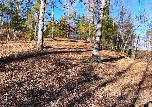 2nd image of Lot N 17 4 Coast Dr, Mill Spring, NC 28756 | MLS# 4395722