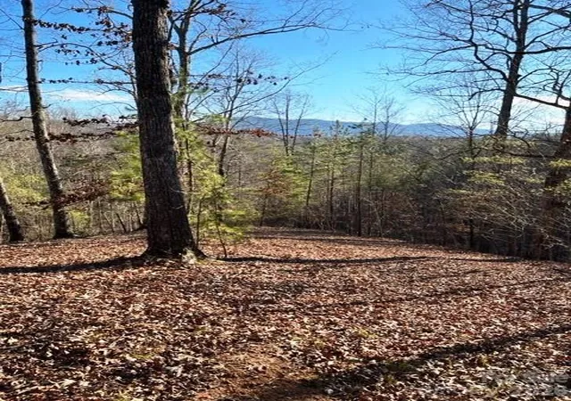 3rd image of Lot N 17-4 Coast Dr, Mill Spring, NC 28756 | MLS# 4395722