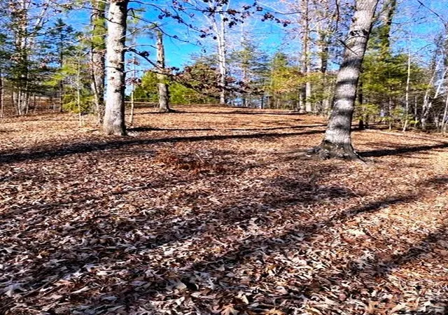 4th image of Lot N 17-4 Coast Dr, Mill Spring, NC 28756 | MLS# 4395722
