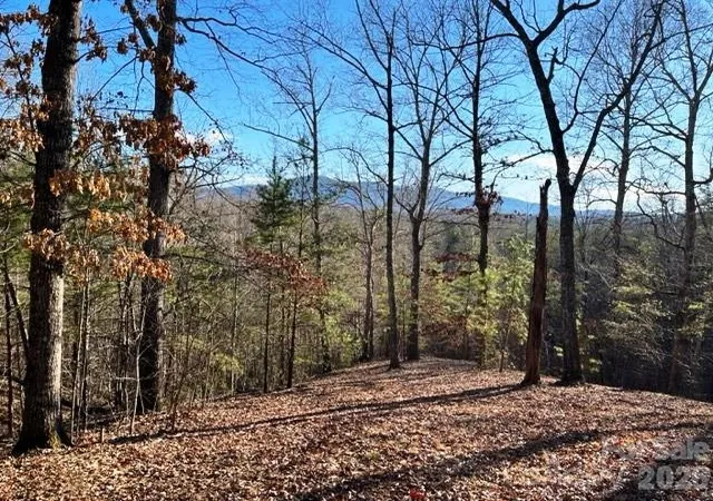 5th image of Lot N 17-4 Coast Dr, Mill Spring, NC 28756 | MLS# 4395722