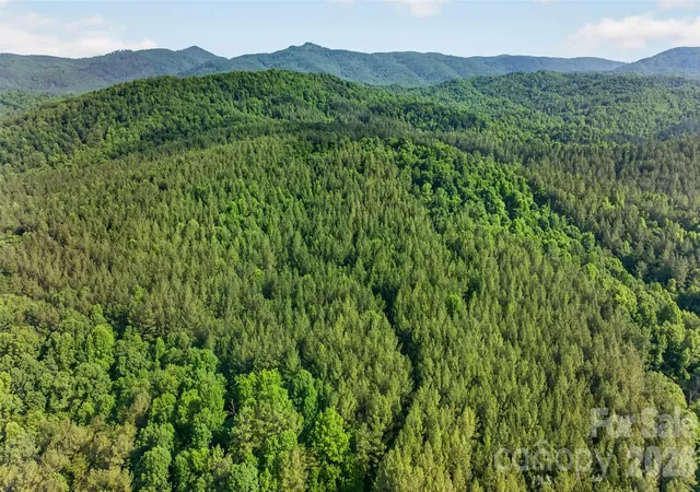 Photo 2 of Land for sale at 485 Frog Crk Rd, Union Mills, NC 28167 | MLS# 4395740 | Listing updated on 2026-06-20