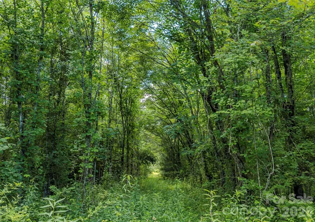 Photo 2 of Land for sale at Tbd Canebrake Rd, Pisgah Forest, NC 28768 | MLS# 4395746 | Listing updated on 2026-07-15