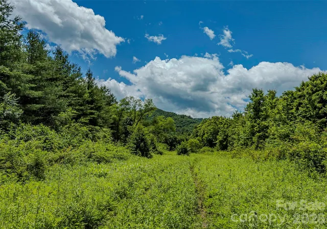 Photo 3 of Land for sale at Tbd Canebrake Rd, Pisgah Forest, NC 28768 | MLS# 4395746 | Listing updated on 2026-07-15