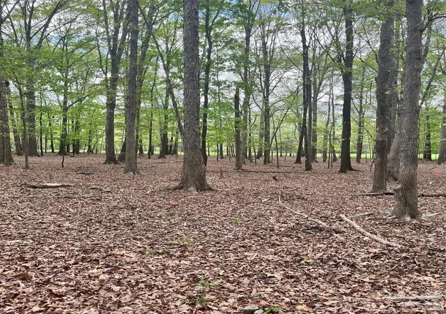 1st image of 001 Wolf Pond Rd, Monroe, NC 28112 | MLS# 4395778