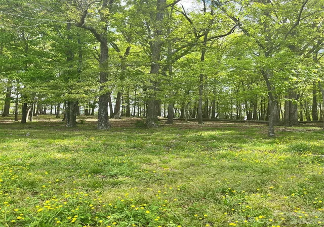Photo 3 of Land for sale at 001 Wolf Pond Rd, Monroe, NC 28112 | MLS# 4395778 | Listing updated on 2026-07-14