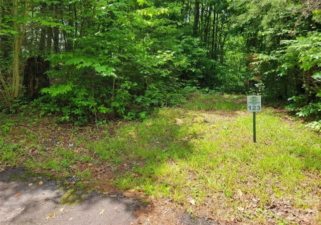 Homes for sale in Marshall, NC | Tbd Bear River Lodge Rd #123, Marshall, NC 28753 | MLS# 4395820