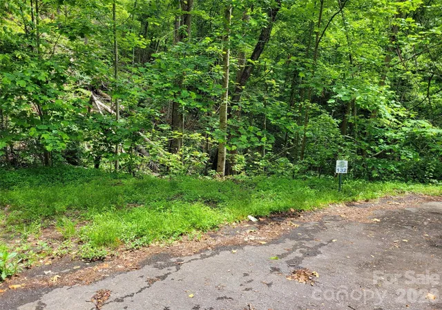 Homes for sale in Marshall, NC | Tbd Bear River Lodge Trl #123 &124, Marshall, NC 28753 | MLS# 4395822