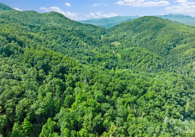 Homes for sale in Marshall, NC | Tbd Bear River Lodge Trl #132, Marshall, NC 28753 | MLS# 4395824