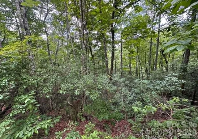 Photo 3 of Land for sale at Lot 26 Pleasant View Dr, Lake Toxaway, NC 28747 | MLS# 4395852 | Listing updated on 2026-08-11