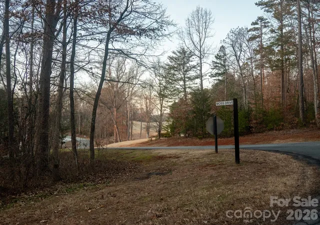 Photo 4 of Land for sale at 00 Moss Dr, Rutherfordton, NC 28139 | MLS# 4395924 | Listing updated on 2026-06-22