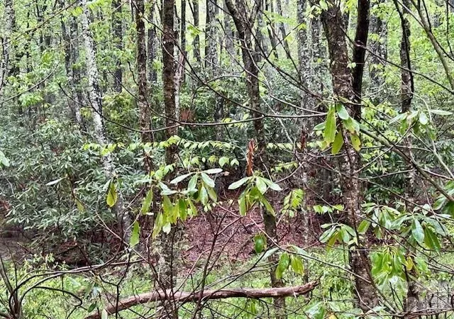 Photo 5 of Land for sale at Tbd Goshen Dr #19, Boone, NC 28607 | MLS# 4395987 | Listing updated on 2026-06-23