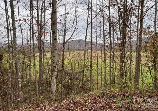 Photo 5 of House for sale at Mini Farm 3 Tbd Coventry Dr, Brevard, NC 28712 | MLS# 4396010 | Listing updated on 2026-08-24