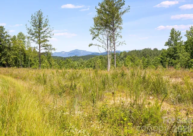 Photo 1 of Land for sale at Lot #2 Clark Rd, Rutherfordton, NC 28139 | MLS# 4396093 | Listing updated on 2026-06-24