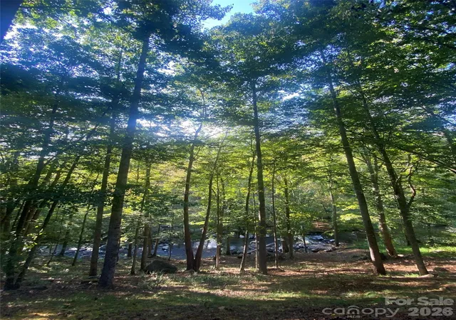 Photo 3 of Single family home for sale at 39 Rogers Crk Dr, Bakersville, NC 28705 | MLS# 4396215 | Listing updated on 2026-08-20