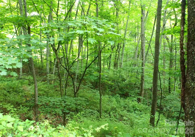 5th image of 00 Sage Ln #4, Waynesville, NC 28785 | MLS# 4396253