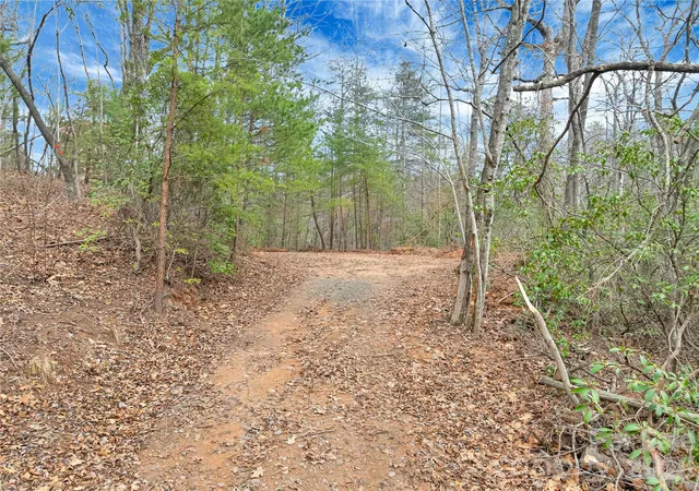 Homes for sale in Saluda, NC | Tbd Deep Woods Ln #102, Saluda, NC 28773 | MLS# 4396296