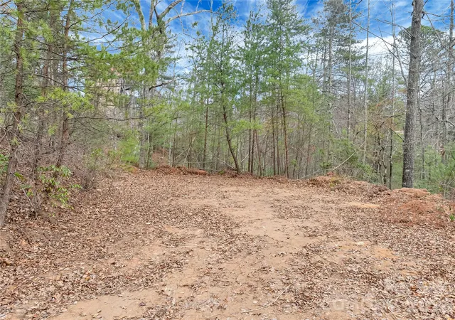 Homes for sale in Saluda, NC | Tbd Deep Woods Ln #102, Saluda, NC 28773 | MLS# 4396296
