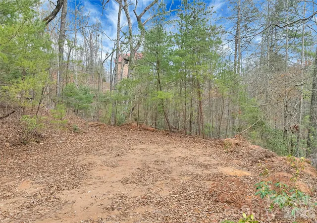 Homes for sale in Saluda, NC | Tbd Deep Woods Ln #102, Saluda, NC 28773 | MLS# 4396296
