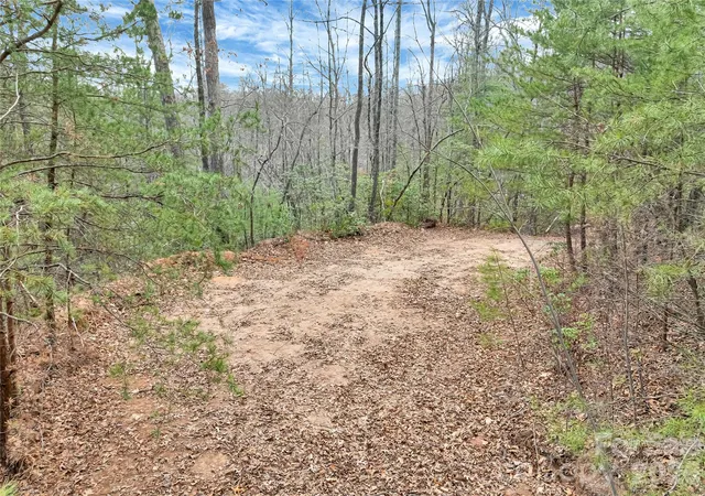 Homes for sale in Saluda, NC | Tbd Deep Woods Ln #102, Saluda, NC 28773 | MLS# 4396296