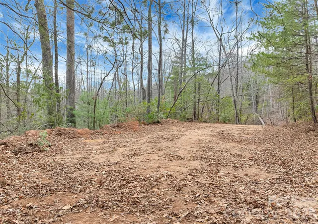 Homes for sale in Saluda, NC | Tbd Deep Woods Ln #102, Saluda, NC 28773 | MLS# 4396296