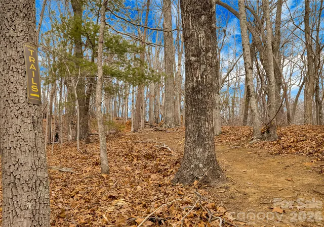 Homes for sale in Saluda, NC | Tbd Deep Woods Ln #102, Saluda, NC 28773 | MLS# 4396296
