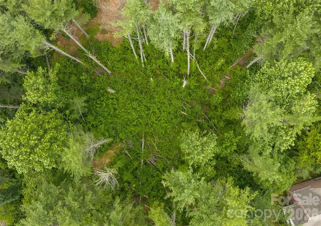 19th image of 4 Dunnwoody Dr, Arden, NC 28704 | MLS# 4396311