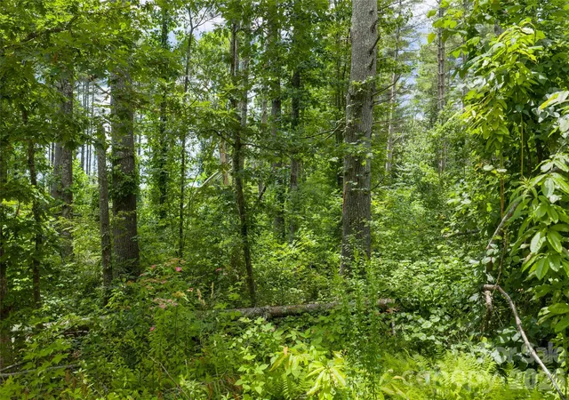 4th image of 4 Dunnwoody Dr, Arden, NC 28704 | MLS# 4396311