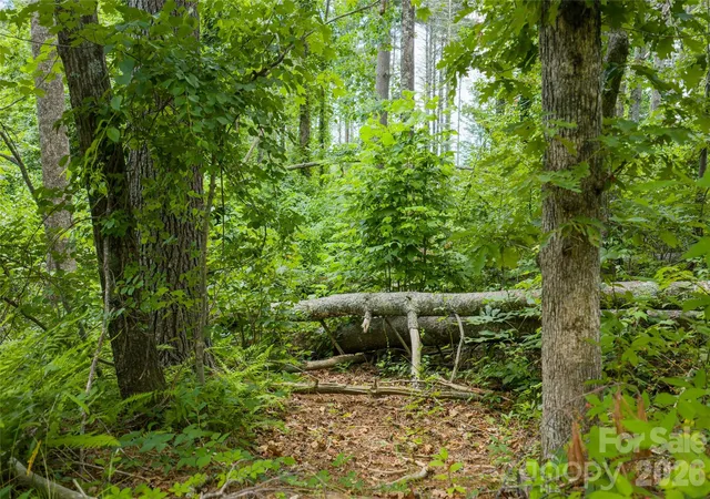 5th image of 4 Dunnwoody Dr, Arden, NC 28704 | MLS# 4396311