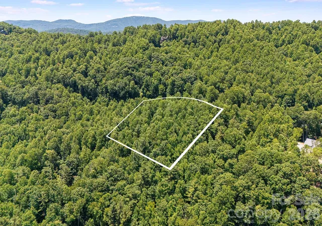 1st image of Tbd Solomon Cir #16 & 17, Hendersonville, NC 28739 | MLS# 4396313