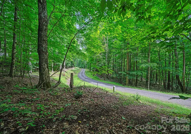 1st image of 000 Shadow Moss Dr #8B, Burnsville, NC 28714 | MLS# 4396339
