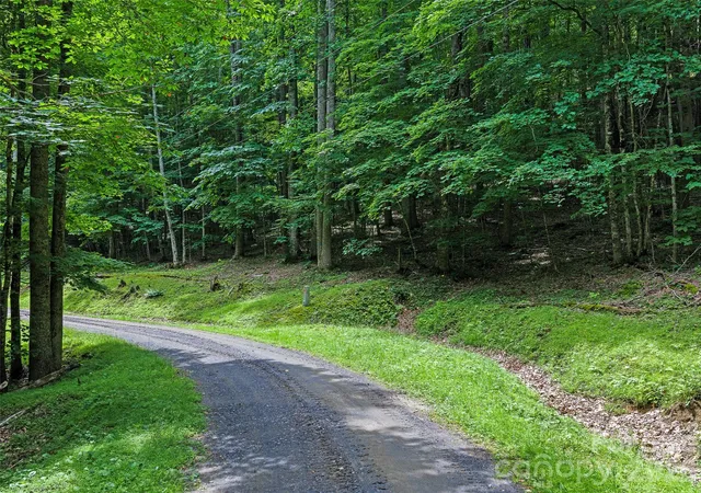 3rd image of 000 Shadow Moss Dr #8B, Burnsville, NC 28714 | MLS# 4396339