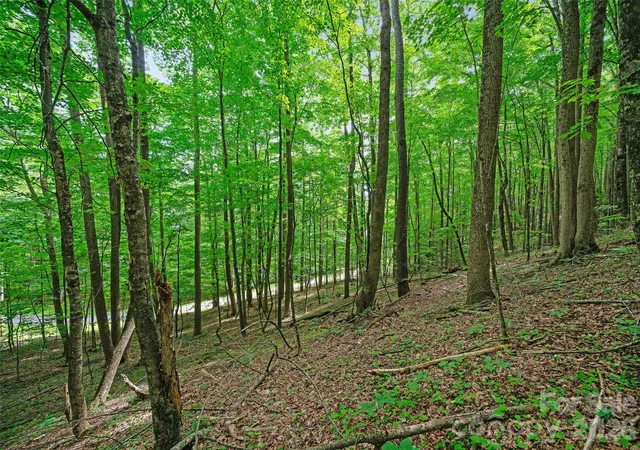 5th image of 000 Shadow Moss Dr #8B, Burnsville, NC 28714 | MLS# 4396339
