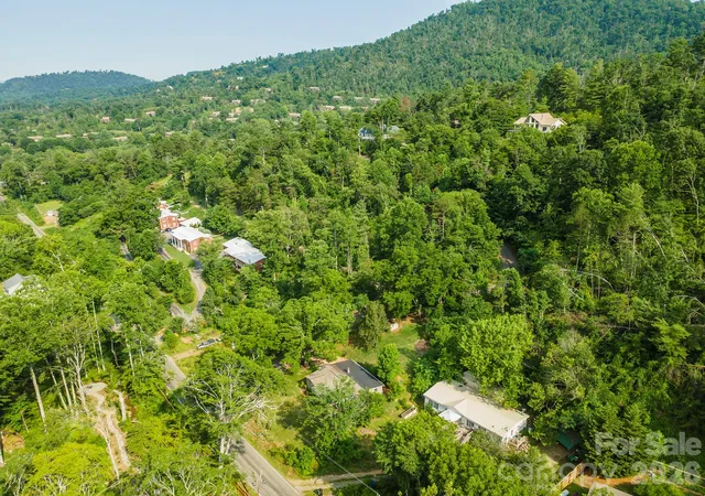 Homes for sale in Asheville, NC | 80 Webb Cove Rd, Asheville, NC 28804 | MLS# 4396343