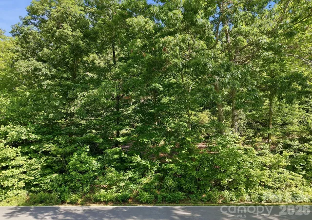 Homes for sale in Black Mountain, NC | 9999 Old Fort Rd, Black Mountain, NC 28711 | MLS# 4396369
