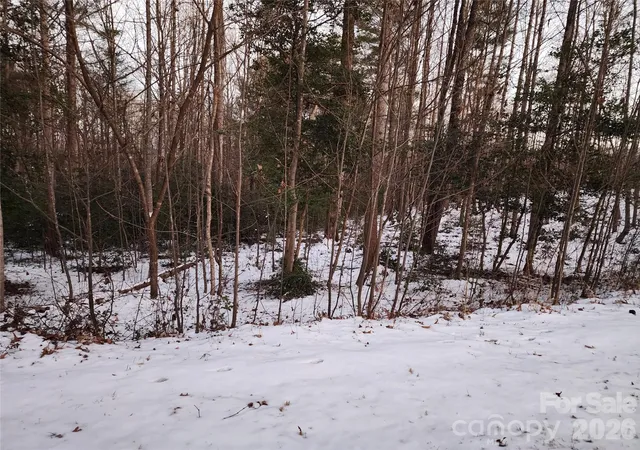 21st image of Tbd W Meadow Pkwy, Moravian Falls, NC 28654 | MLS# 4396384